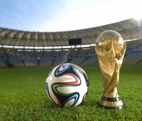 开云体育直播-（可选方向）