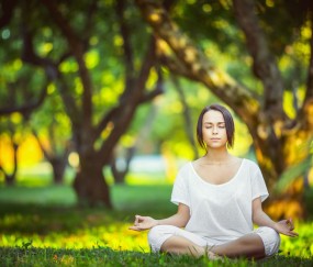 开云官方app入口-魔术对阵热火，字母哥赛后评分拉满，诠释何为无解统治力