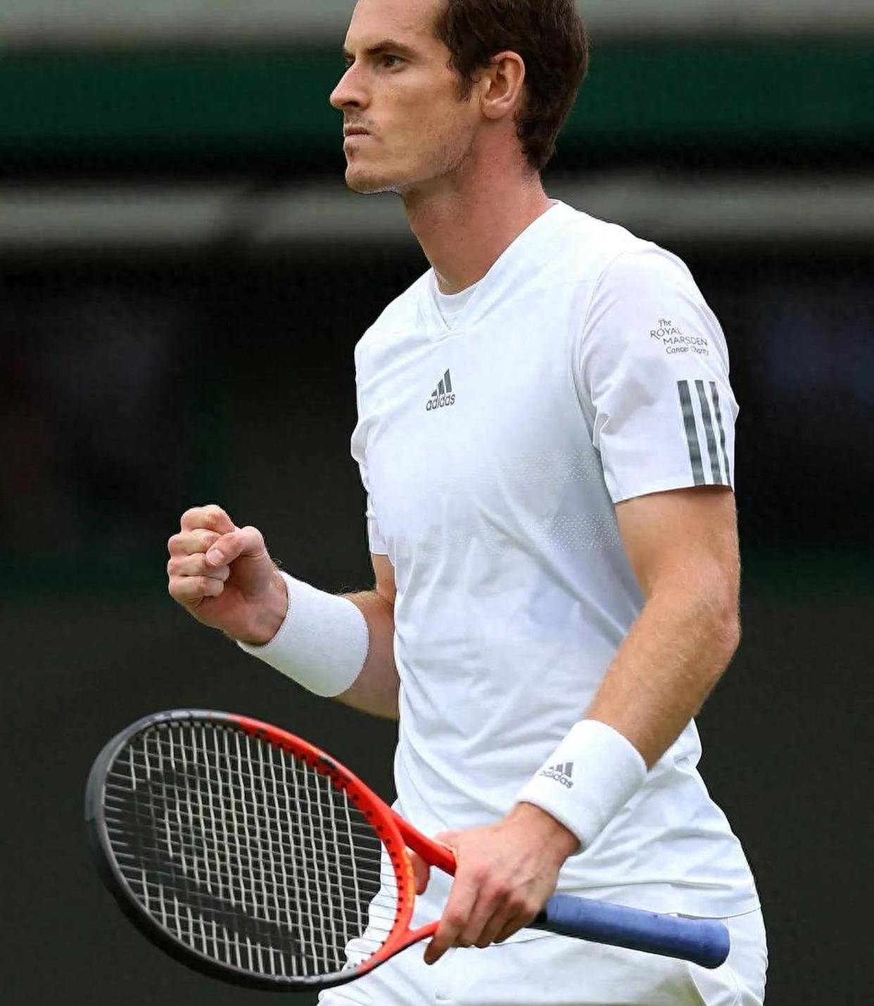 蒙特卡洛大师赛力克温网,穆雷带队取胜 蒙特卡洛大师赛力克温网,穆雷带队取胜