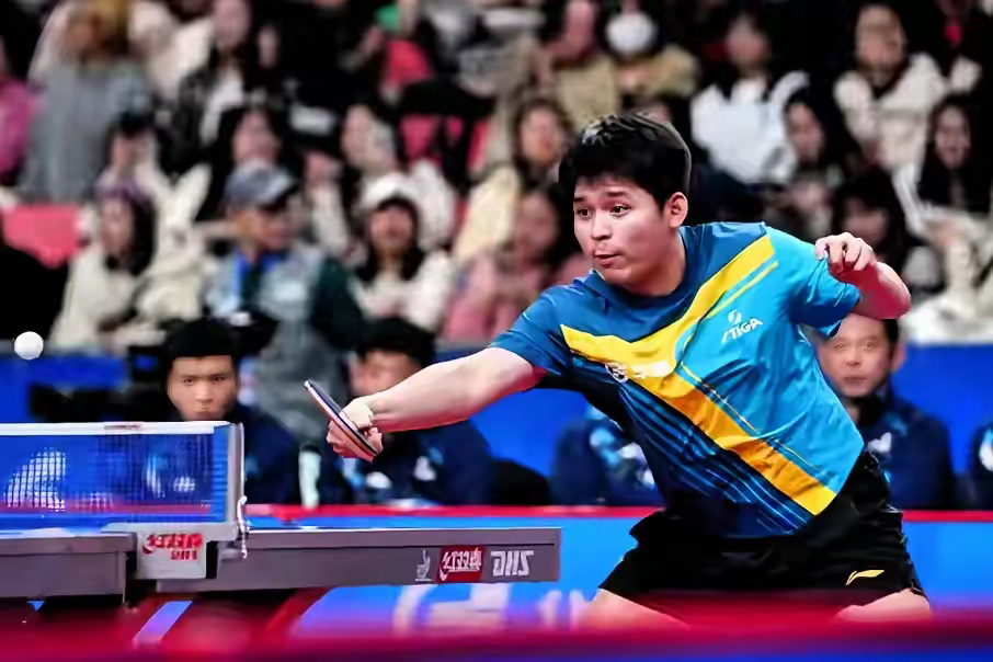 法国队横扫韩国队,樊振东统治全场 法国队横扫韩国队,樊振东统治全场