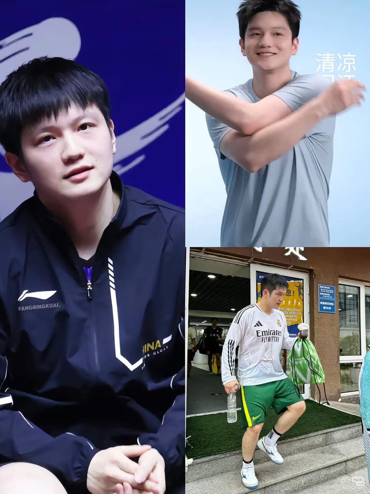 法国队横扫韩国队,樊振东统治全场 法国队横扫韩国队,樊振东统治全场