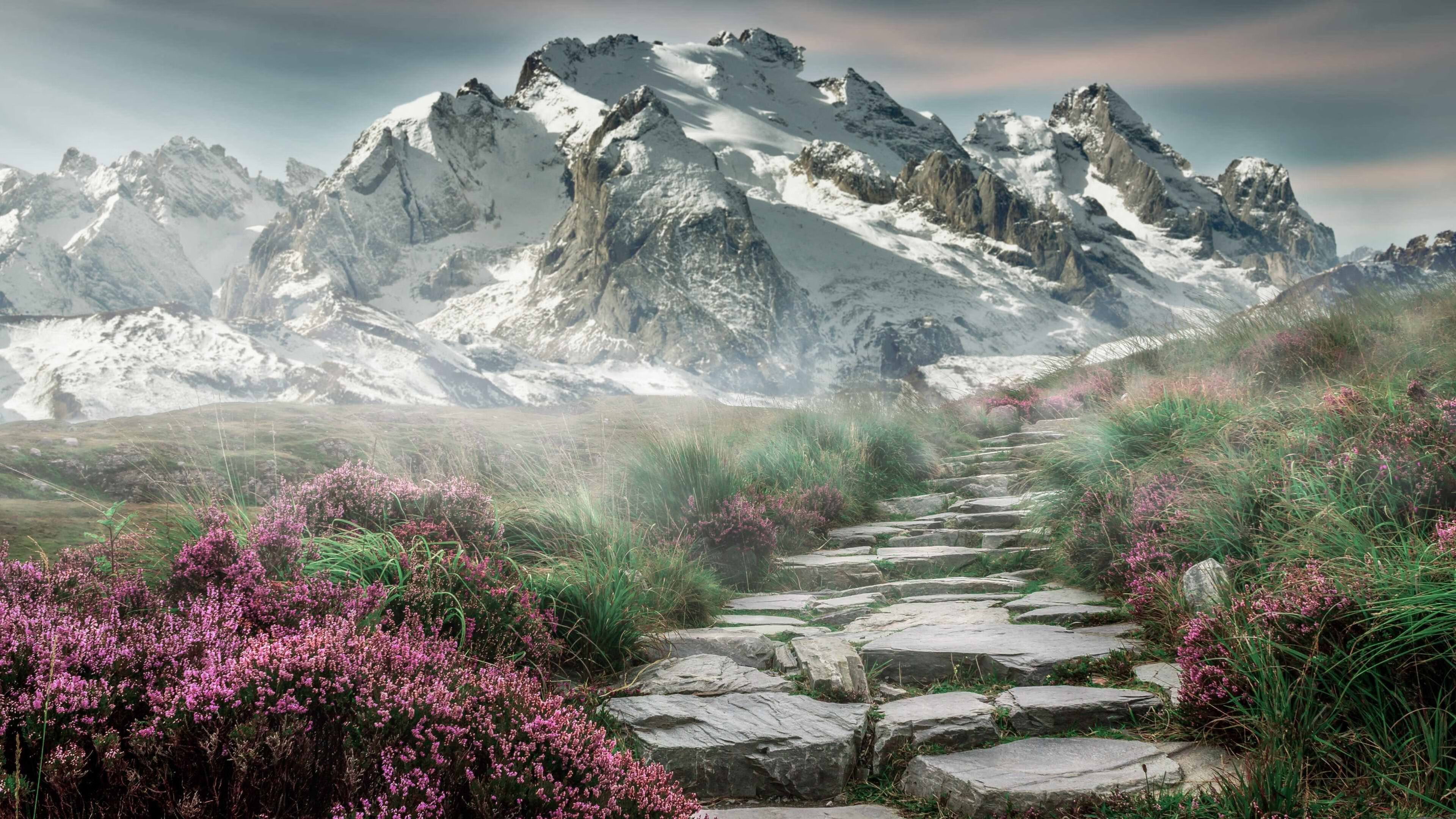 森林狼打穿开拓者，乔治成为关键先生