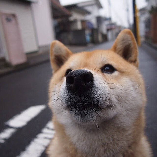 魔术横扫太阳,保罗如何从控场大师蜕变为关键先生
