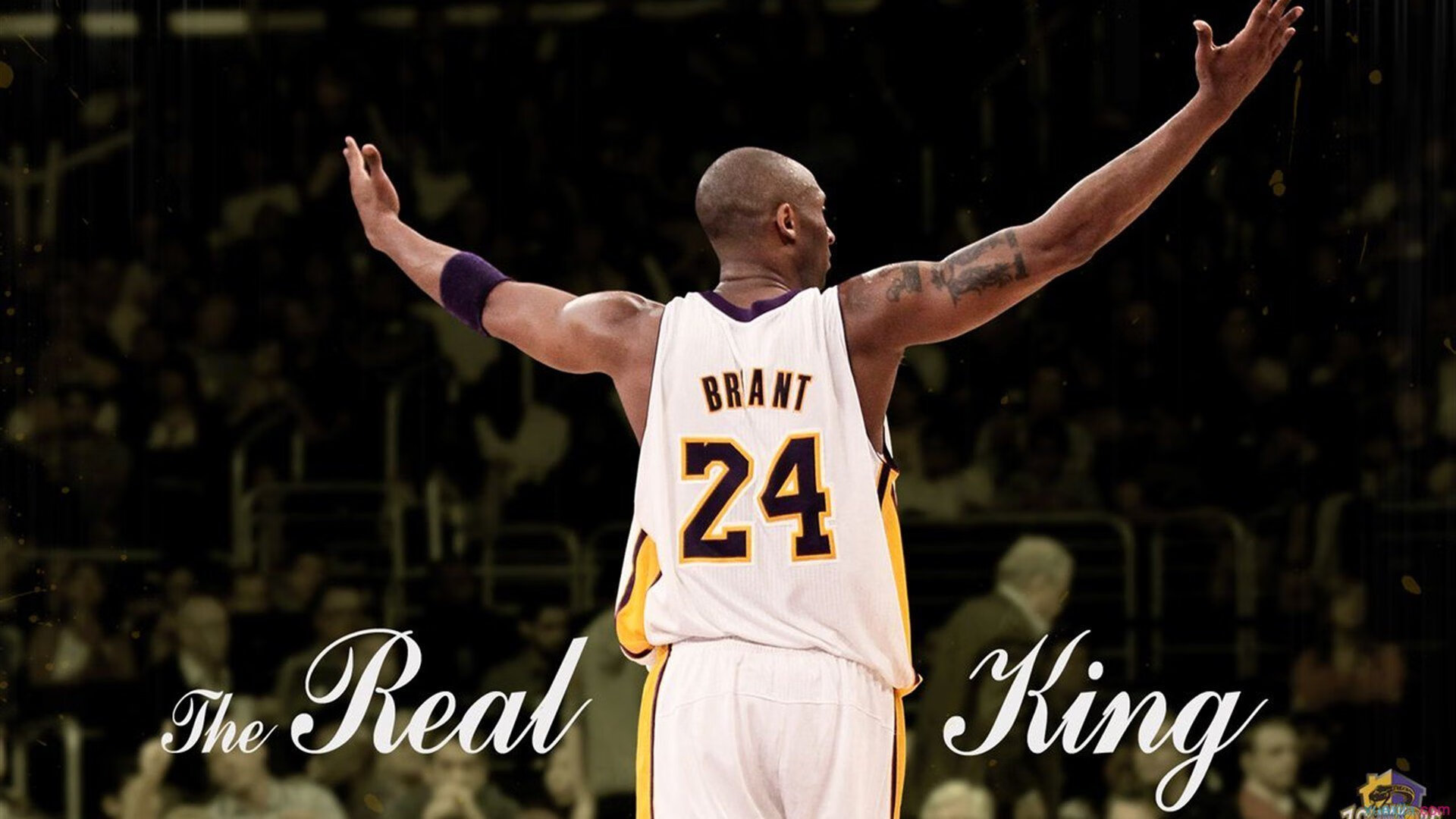 年度焦点之战，国王决胜局力克鹈鹕，一战定乾坤